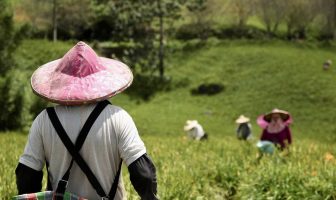 como-abrir-mei-para-produtor-rural-ctec